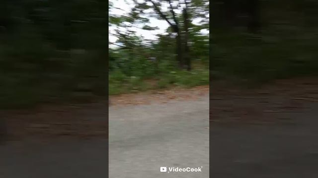 опять видео на улице