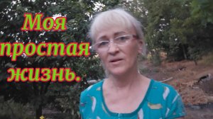 Жизнь в селе.Собрала перцы на ужин.Урожай лука.