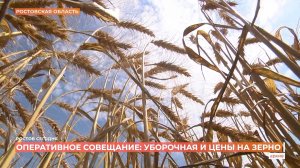 Ростов сегодня: дневной выпуск. 4 августа 2026