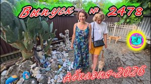 #Абхазия2026🌴 04.08.26г.🔥 Выпуск № 2478❗вчера +31°🌡ночью +24°🌡