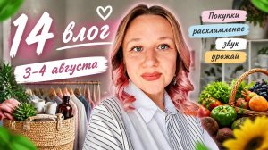 Покупки Вб и Фп. Стал ли звук лучше? Расхламление завершено!