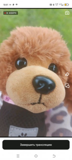 Как проходит наше утро с черри