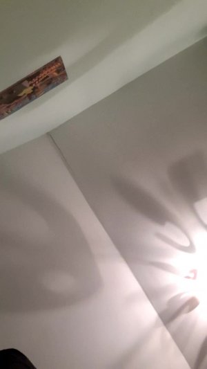 бдж_больница для животных в ROBLOX