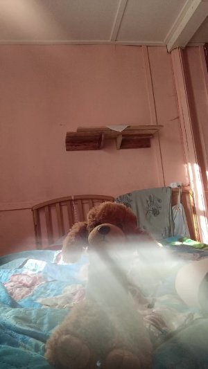 кормёжка черри