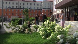 Озеленение города и поддержание клумб в хорошем состоянии – их главная задача