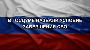 В Госдуме назвали условие завершения СВО