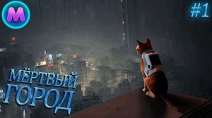 Stray «Мёртвый город»