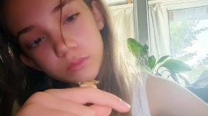 видео о том, как я обустраиваю домик для улитки. и подпишись.