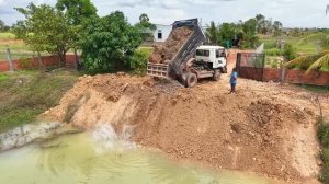 Wonderful Start New Project!!Delete deep pond using stone by expert drive dozer with 5t dump trucks