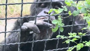 У Манюни и Марика все как всегда-все для Мани❤️