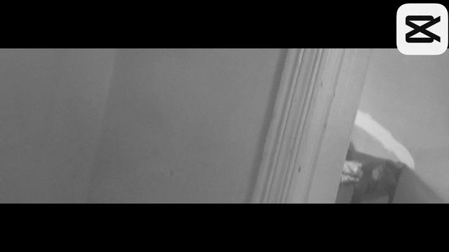 1967.mp4