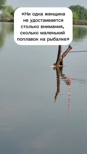 «Ни одна женщина не удостаивается столько внимания, сколько маленький поплавок на рыбалке»