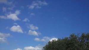 Прогулка