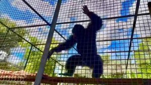 Это ЖЕСТЬ! Марик так разозлился что у Манюни не цветет роза, что ей пришлось прятаться на потолке ❤️