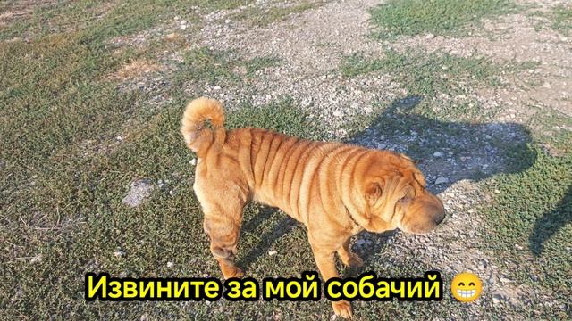 Отпуск 2026 #9. Водомат в Яковенково, вечерний досуг.
