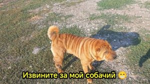Отпуск 2026 #9. Водомат в Яковенково, вечерний досуг.
