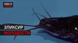 Экскурсия на акваферму прошла в Химках // 360 ХИМКИ
