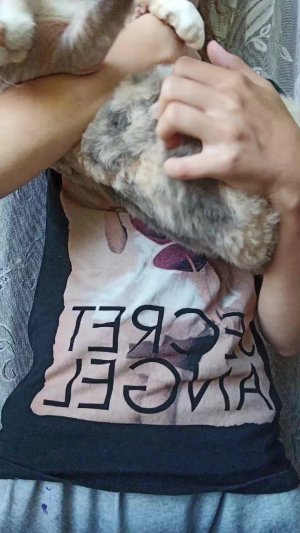 симоза