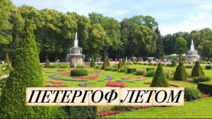Петергоф летом. Солнечный денек✅