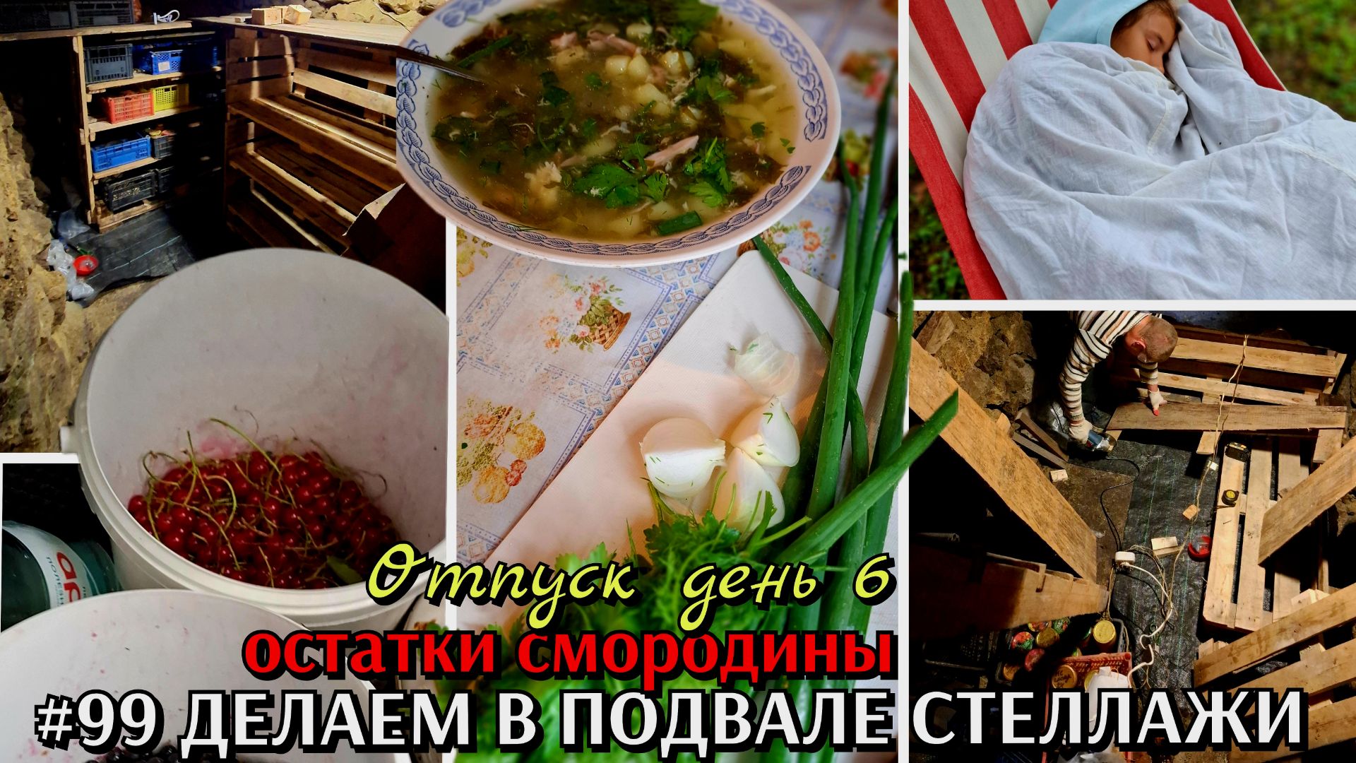 #99 ШЕСТОЙ ДЕНЬ ОТПУСКА / оборудуем подвал к зиме / делаем стеллажи / последняя смородина