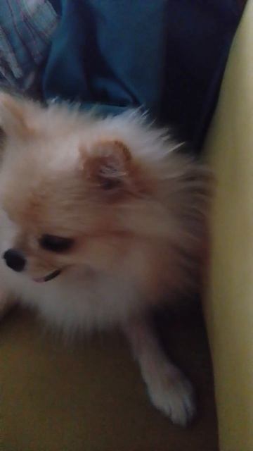 Никоша❤