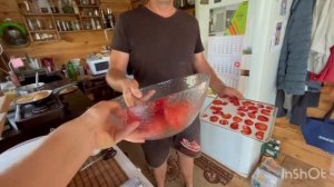 НАКОНЕЦ-ТО ТЕПЛО! ДАЧНАЯ ИДИЛЛИЯ/ВЫСАДИЛИ БРОККОЛИ НА ВТОРОЙ УРОЖАЙ