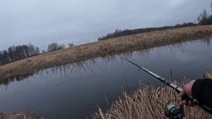 НАКОРМИЛ И КРУПНЯК ПОШЕЛ!!!РЫБАЛКА НА ПОПЛАВОК