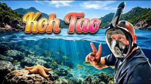 КАК ВЫЖИВАЮТ РУССКОЯЗЫЧНЫЕ В ТАЕ. Ко Тао. Один из лучших островов Таиланда!