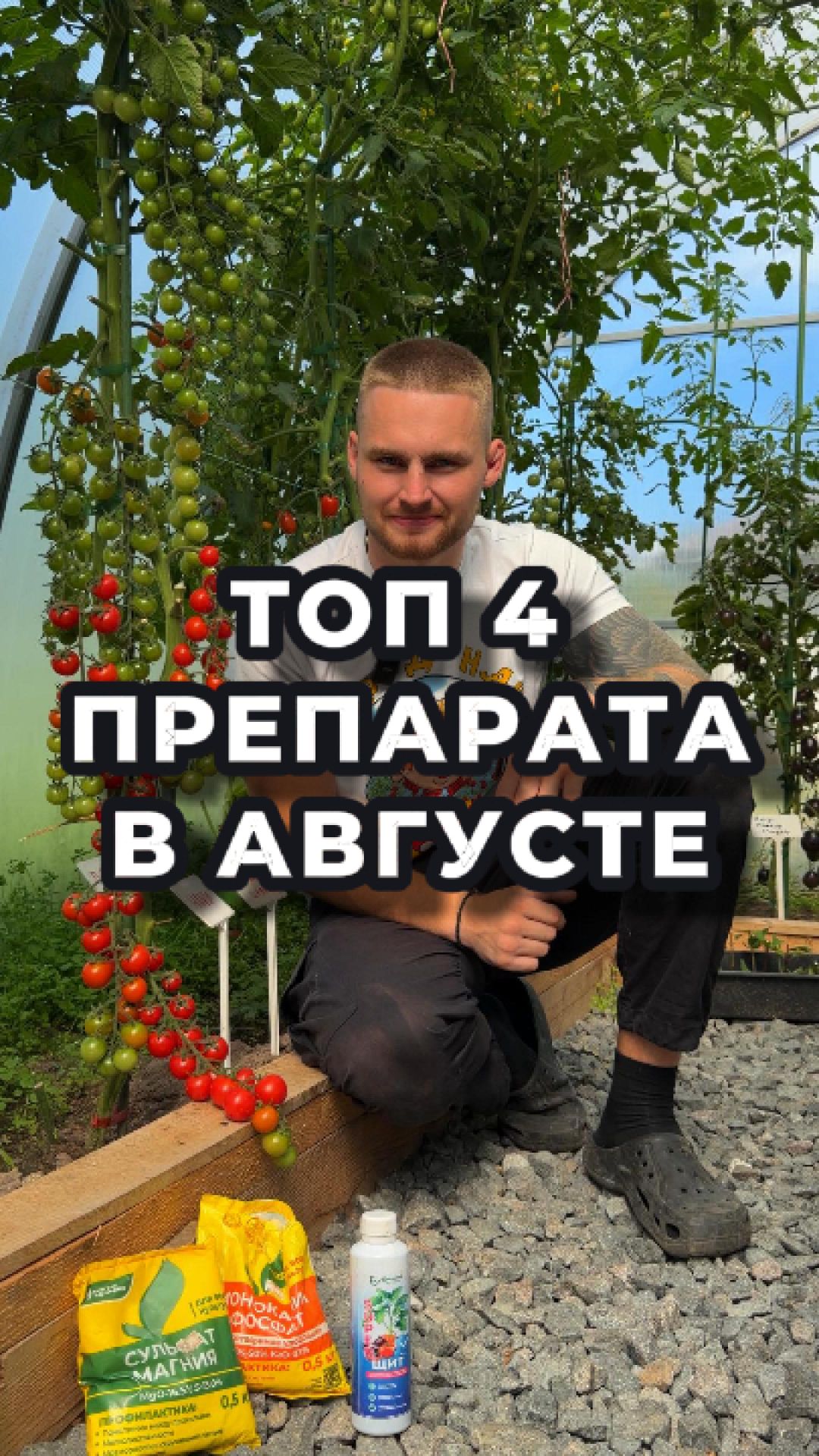 🍅 Вторая половина лета: убираем азот, добавляем топ-4!
