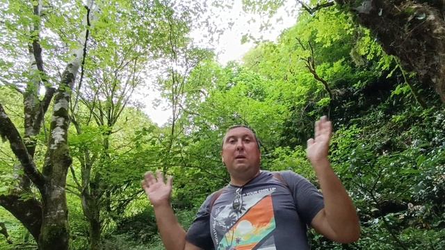 Абхазия Пицунда Лдзаа/красота Черниговки