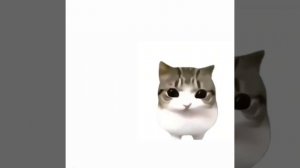 для фанатов ддлк^^