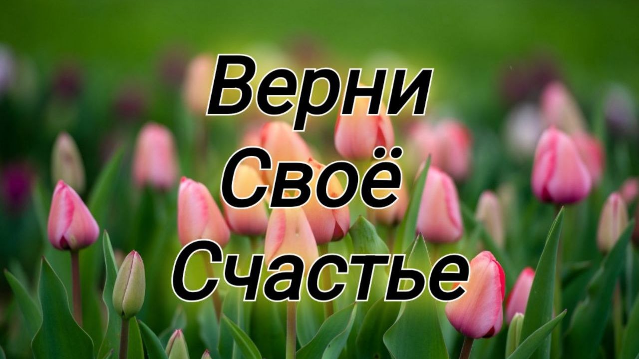 ВЕРНИ СВОЕ СЧАСТЬЕ