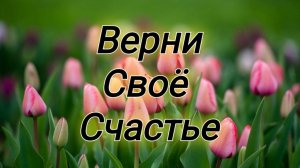 ВЕРНИ СВОЕ СЧАСТЬЕ
