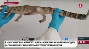 Телеканал «Пятый», программа «Известия», 03.08.2026