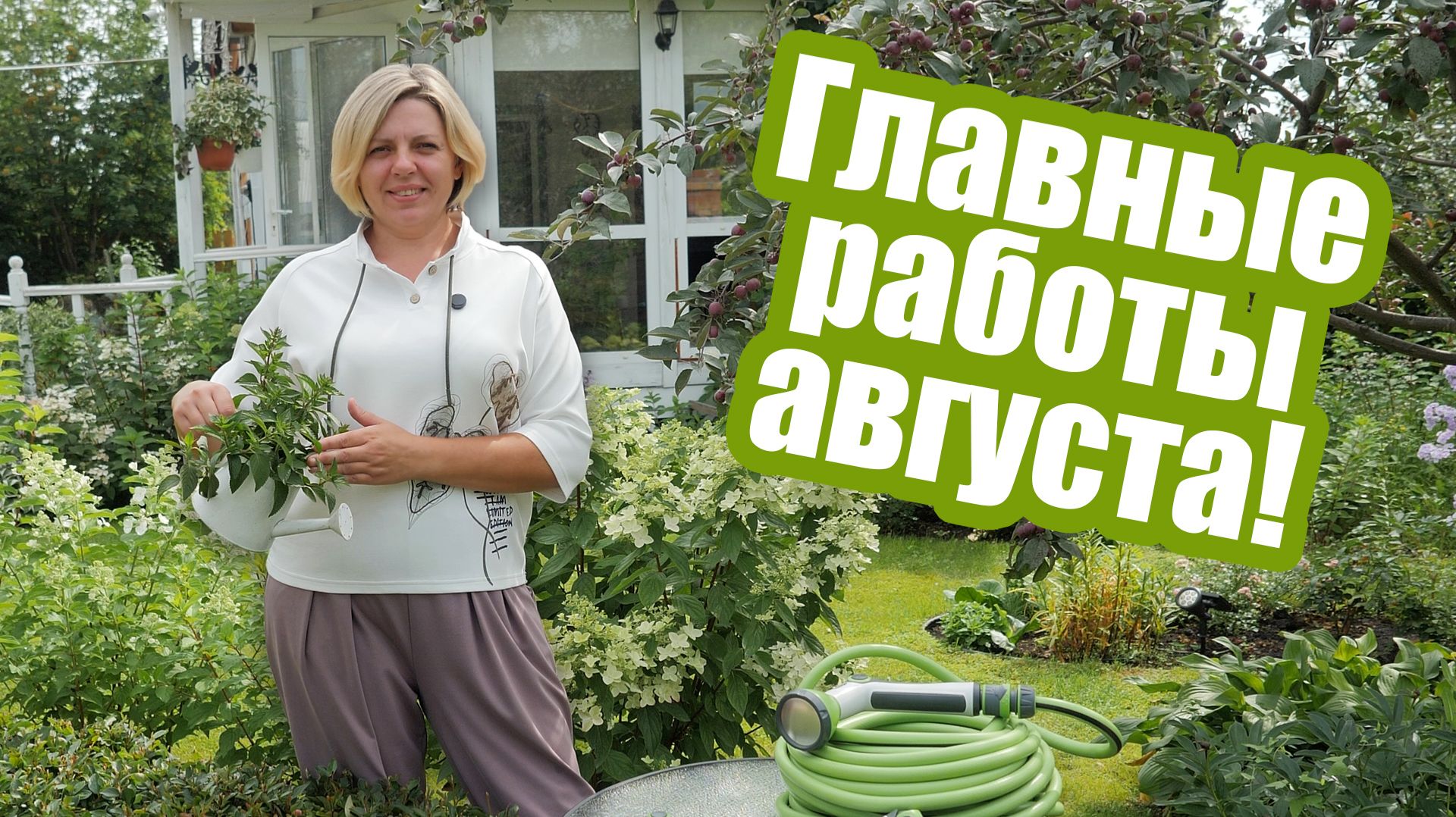 Огород, сад и цветник в августе. Не забудьте про эти работы!