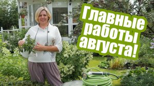 Огород, сад и цветник в августе. Не забудьте про эти работы!