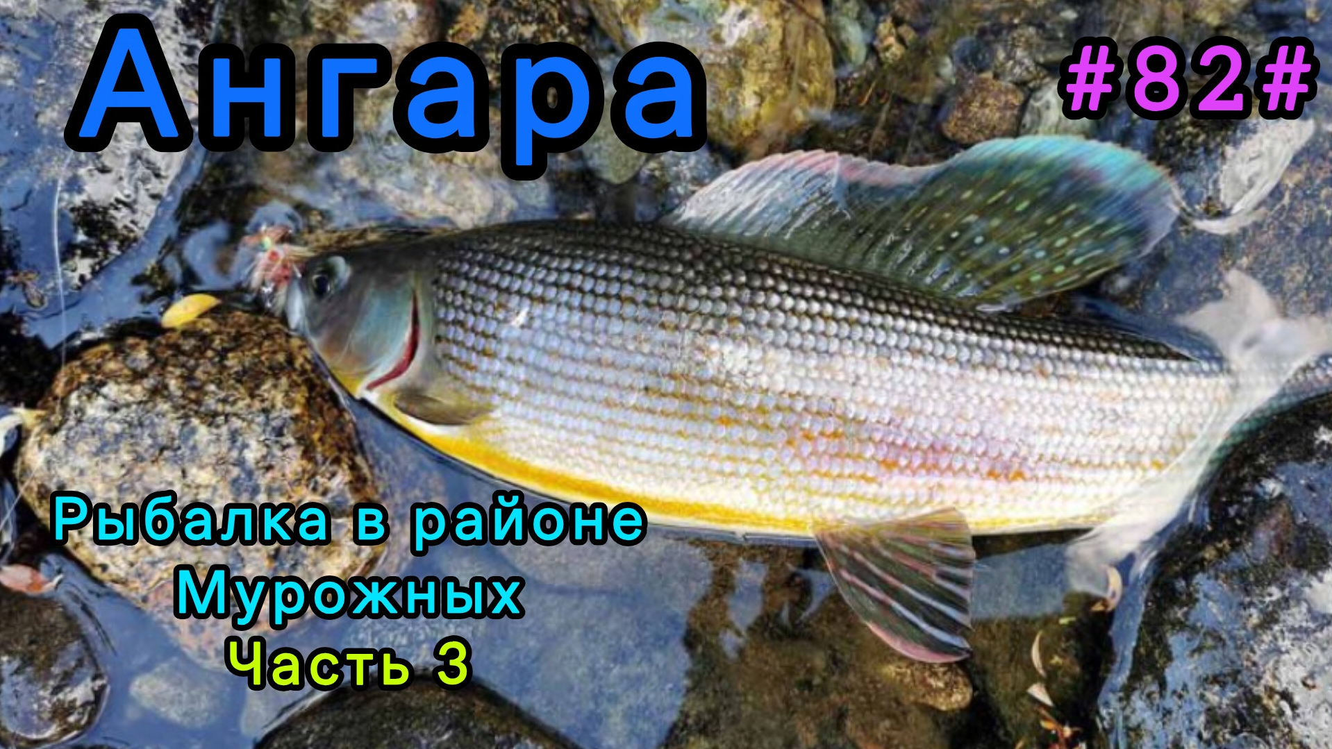 Ангара, рыбалка в районе Мурожных. Часть 3.