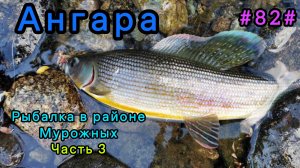 Ангара, рыбалка в районе Мурожных. Часть 3.