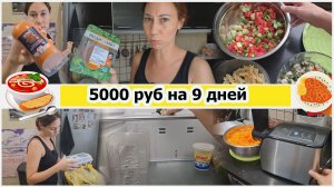Дожить до зарплаты. 5000 рублей на 9 дней