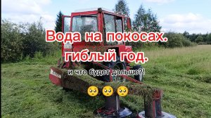 и как жить дальше?