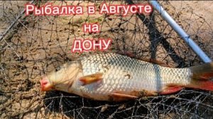 Рыбалка и отдых на ДОНУ в августе.