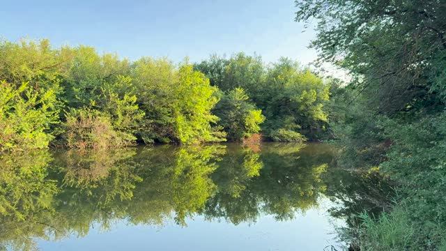 Летняя ночная рыбалка на сома судка щуку