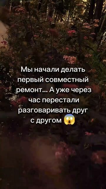 Мы начали делать первый совместный ремонт... А уже через час перестали разговаривать друг с другом