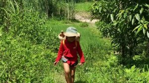 Приключения в лесу после тайфуна Яги