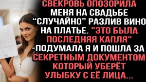 Свекровь опозорила меня на свадьбе случайно разлив вино на платье. «Это была последняя капля»