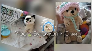 Кормëжка Окки и Булочки🐕🐱