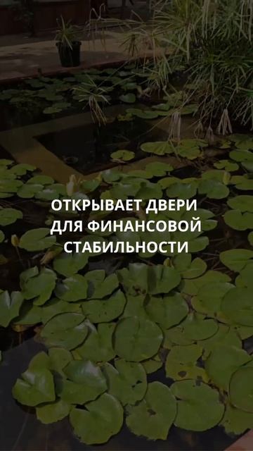 МАНГАЛ ГАУРИ ЯГЬЯ