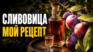 Сливовица. Как поставить брагу из сливы правильно!