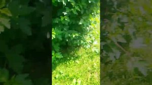 небольшая прогулочка вторая часть
