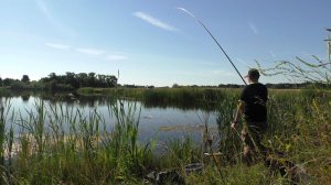 ЗДЕСЬ ПОЛНО КАРАСЕЙ! Ловля на маховую удочку на новом водоёме